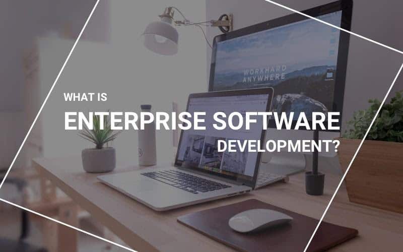 Enterprise Software Development