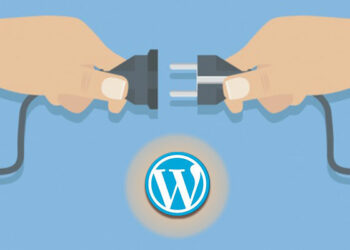 How To Sell Premium WordPress Plugins