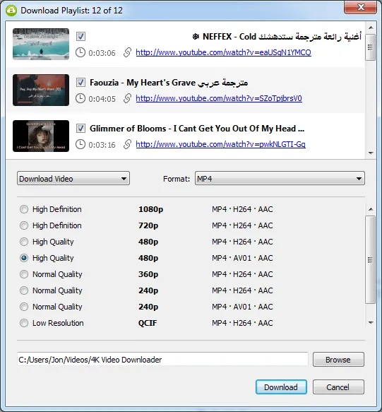 YouTube Playlist Downloader