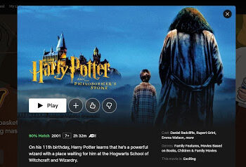 Why Did Netflix Remove Harry Potter