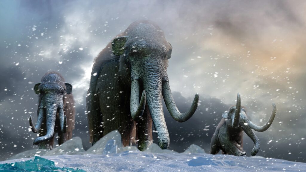 Colossal Biosciences: Preventing Climate Change by Reviving Woolly Mammoths