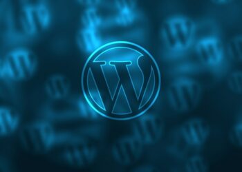 WordPress Accessibility Plugins