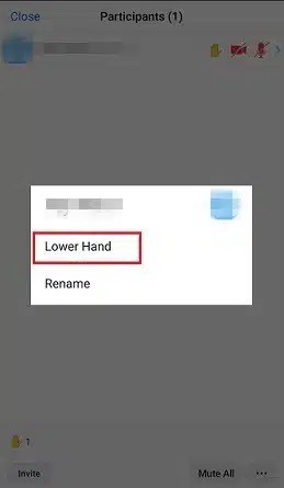 How To Raise Hand In Zoom