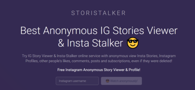 Instagram Story Viewer