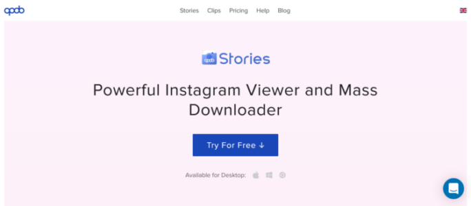 Instagram Story Viewer