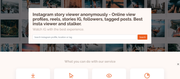 Instagram Story Viewer