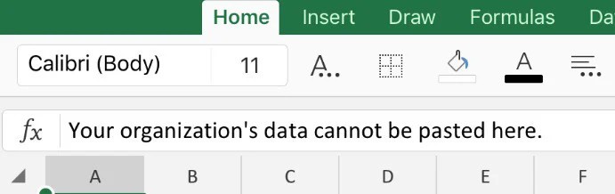 Your Organization’s Data Cannot Be Pasted Here